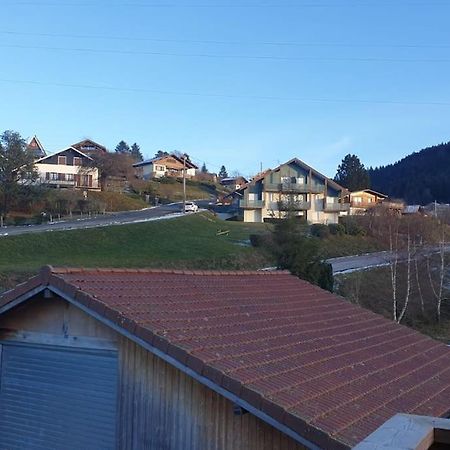 Le Martin Pecheur - Appartement Gerardmer Exterior photo