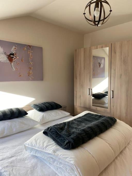 Le Martin Pecheur - Appartement Gerardmer Exterior photo